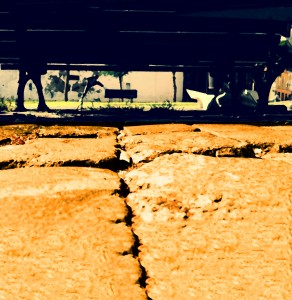foto-tdl-web